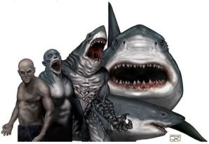 7212352856f01c7e6f55d153f505a845